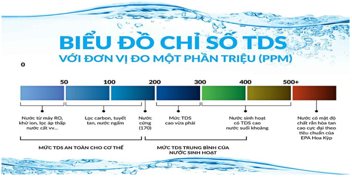 bieu do tds